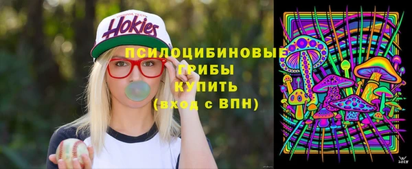 ALPHA PVP Покровск