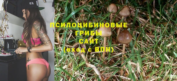 ALPHA PVP Покровск